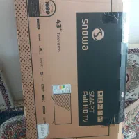 کارتن تلوزیون اسنوا