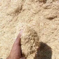 کاه گندم خورد شده