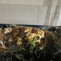 آکواریوم