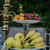 اجاره کرایه رنت باغ تشریفات تولد عقد و عروسی دیجی