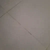 کارگر  جهت کاشیکاری