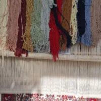 دار قالی یک زرونیم