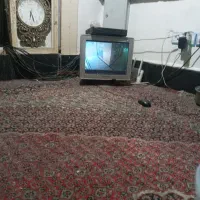 جویای کار نگهبانی