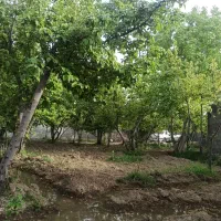 باغ-چهار-دیواری-با-درختان-میوه