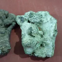 سنگها ی  شجر وعقیق و باباقوری وسگهای دبگه کمیاب