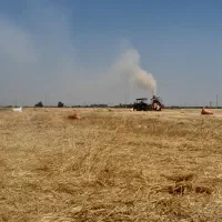 کاه کوب خلالی دانه ای
