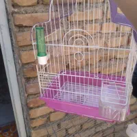 چهار عدد قفس قناری و عروس هلندی