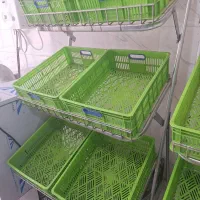 استند به همراه سبد