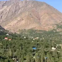 زمین ۲۵۰ متری