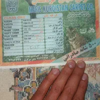 فرش۱۲متری|فرش|قروه, |دیوار