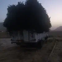 ضایعات نوار تیپ مه پاش،لوله نخی ،لوله باغی ،پلتلین