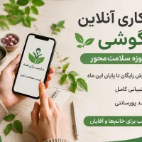 همکاری آنلاین با گوشی /خانم و آقا