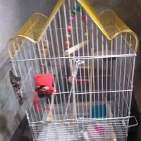 قفس عروس هلندی با وسایل بازی و غذا خوری
