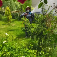 تمامی کار های باغبانی و سم‌پاشی در مشهد