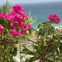 فروش-خانه-گستر-85متری-بازسازی-شده