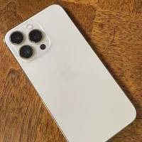 13pro