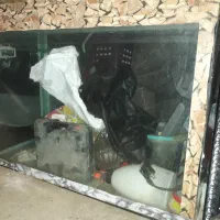 آکواریم