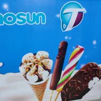 یخچال بستنی دو دربه تکنوسان