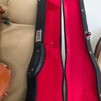 ویلن قدیمی|ویولن|اصفهان, باغ کاران|دیوار