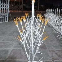 شاخ گوزنی و آکاردئون