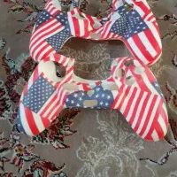 تعدادی وسایل پی اس فایو وسونی ۲