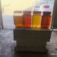 فرش انواع عسل به صورت عمده و خورده