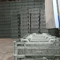 سبد کاهو پایه کوتاه ایسبرگ صادراتی داخلی