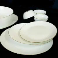 ظروف پذیرایی