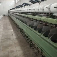 نیروی کارخانم درنخ تابی