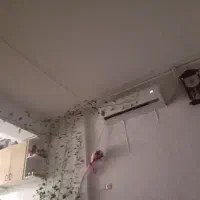 همخونه خانم فقط