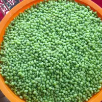 خوردنی|خوردنی و آشامیدنی|همدان, |دیوار