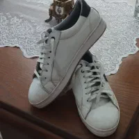 ونس سایز ۴۲