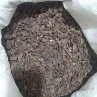 کشمش(مویز) درجه یک