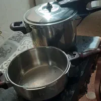 زودپز دوقلو کلورانس فرانسه