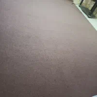 موکت|موکت|اهواز, نیوساید|دیوار