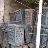 سبد مرغ و ماهی