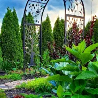 طراحی، اجرا و نگهداری فضای سبز