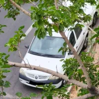 پارس تندر مدل ۹۳