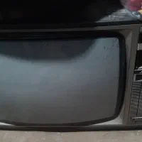 تلوزیون