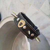 قلاده بسیار تمیز