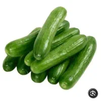 خیار خوب و تازه آ لیرام
