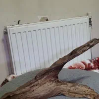 چوب آبنوس اکواریوم و تنه