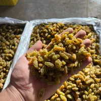 کشمش سبز قلمی کاشمر