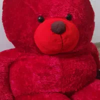 خرس دو متری ولنتاین
