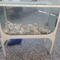 یک عدد آکواریوم