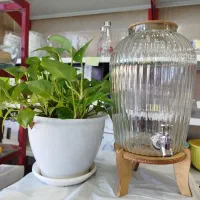کلمن های شیشه ای