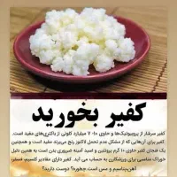 قارچ‌ زنده کفیر قابل تکثیر