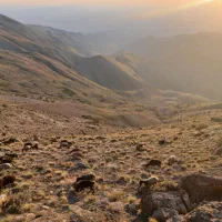بره نر|حیوانات مزرعه|چهارباغ, |دیوار
