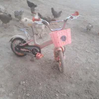 دوچرخه سالم