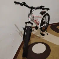 دوچرخه